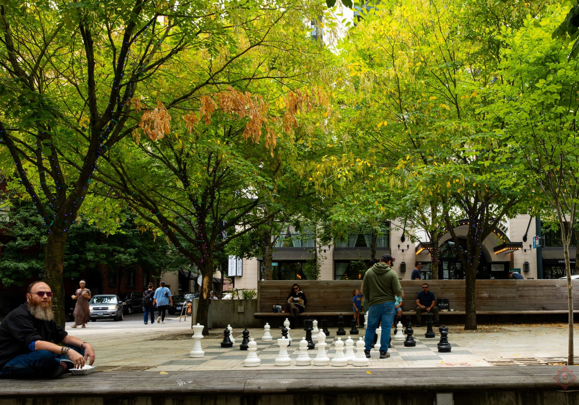 Chess @ Director Park